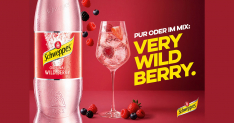 schweppes wild berry