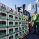 veltins