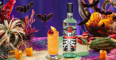 Bacardi