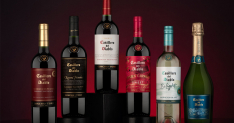 Concha y Toro