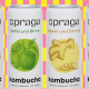 spraga kombucha