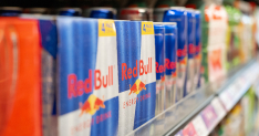 Red Bull Regal Adobe Stock