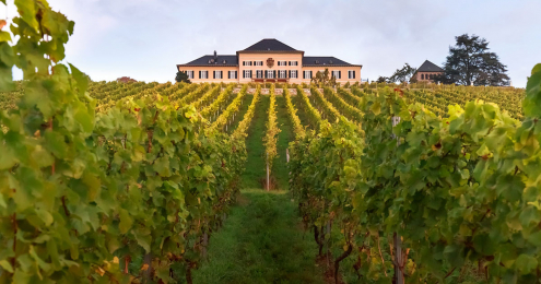 Schloss Johannisberg