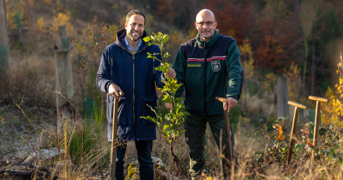 Krombacher cash korken