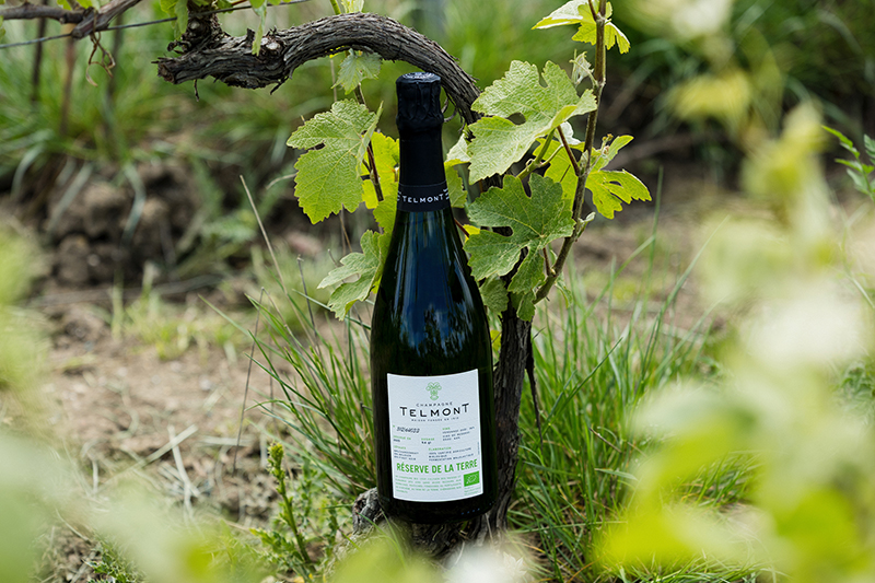 Champagne Telmont