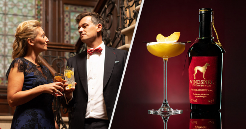 Windspiel Interview Premium