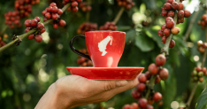 Julius Meinl Kaffee Tasse