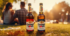 dortmunder kronen Kampagne