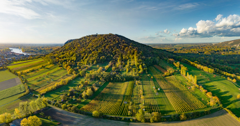 Österreich Wein Marketing