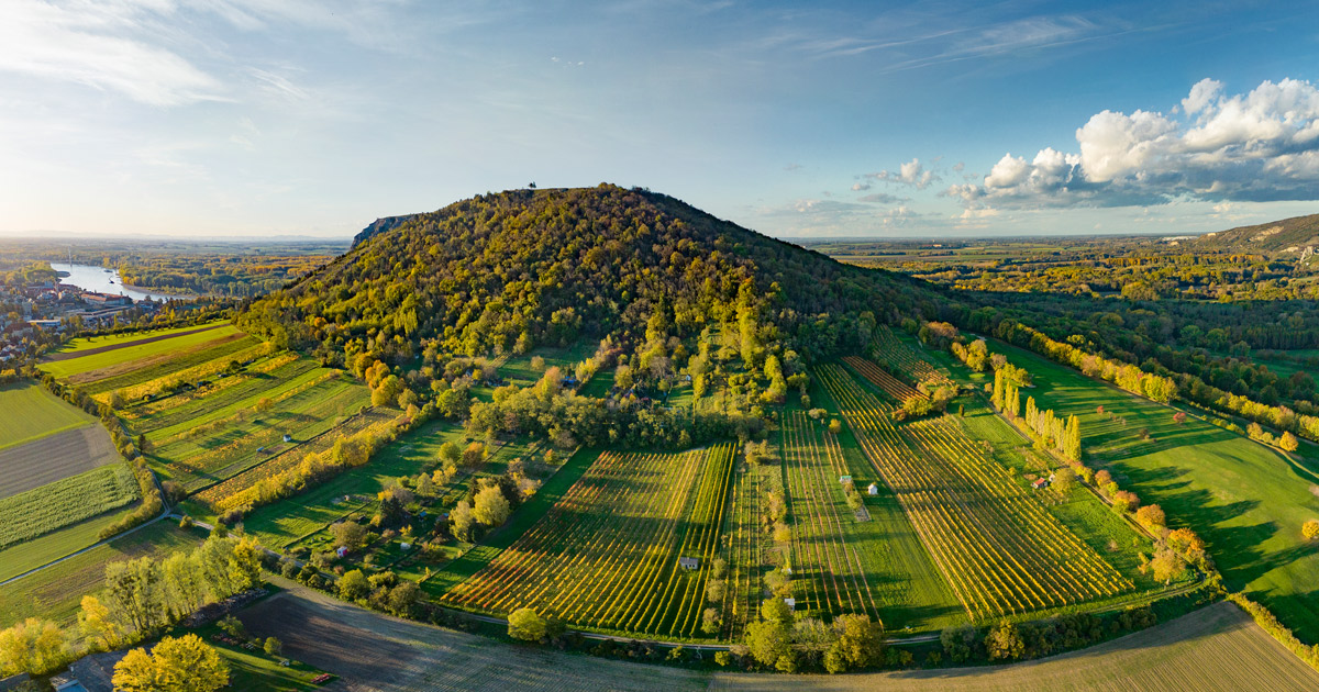 Österreich Wein Marketing