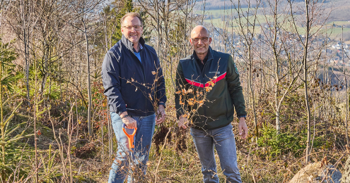 Krombacher Wald 2026