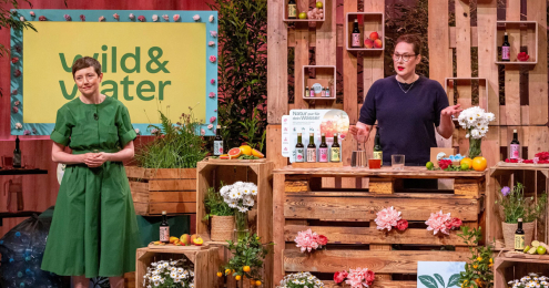 Die Höhle der Löwen